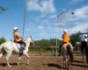 Camping équitation Hourtin