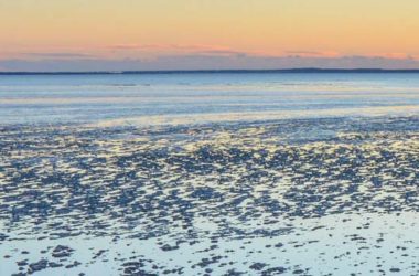 location cabane insolite camping arcachon